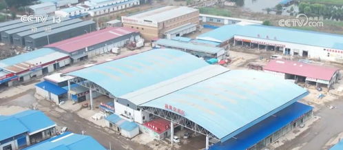 河北涿州最大農產品批發市場恢復營業，災后生產生活逐步回暖