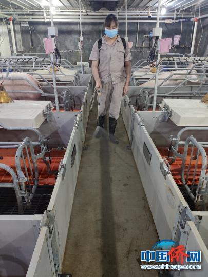 抓防疫 促生產(chǎn) 在蓉僑企千方百計(jì)保供應(yīng)穩(wěn)外貿(mào)